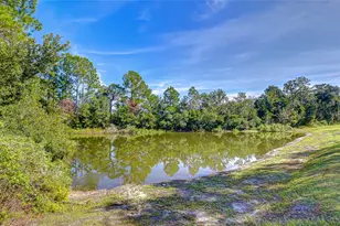 4246 Warwick Hills Dr, Wesley Chapel, FL 33543 - Photo 29