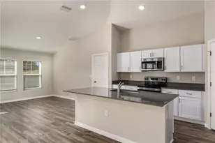 9284 Pavilion Shade Dr, Zephyrhills, FL 33541 - Photo 3