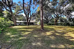 1601 N Riverhills Dr, Temple Terrace, FL 33617 - Photo 81