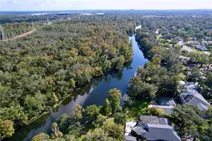 1601 N Riverhills Dr, Temple Terrace, FL 33617 - Photo 87