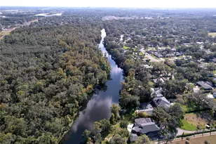 1601 N Riverhills Dr, Temple Terrace, FL 33617 - Photo 91