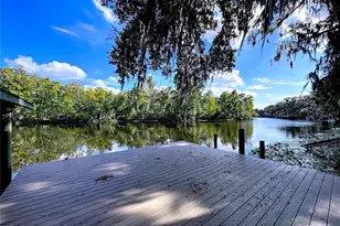 1601 N Riverhills Dr, Temple Terrace, FL 33617 - Photo 75