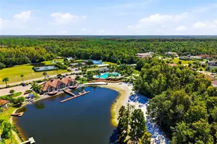 10526 Cory Lake Dr, Tampa, FL 33647 - Photo 67