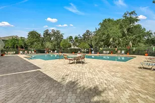 15765 Fishhawk Falls Dr, Lithia, FL 33547 - Photo 25