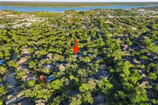 2170 Oak Forest Ln, Palm Harbor, FL 34683 - Photo 35