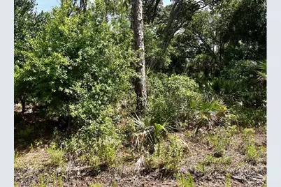 Lot 15 Lovering Avenue, North Port, FL 34286 - Photo 5