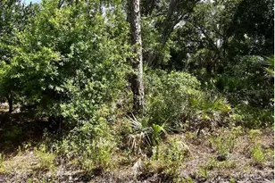 Lot 15 Lovering Ave, North Port, FL 34286 - Photo 5