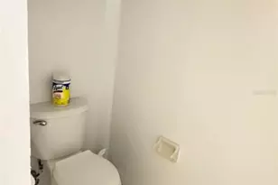 11447 Captiva Kay Dr, Riverview, FL 33569 - Photo 37