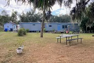 10102 Loetscher Ln, Lithia, FL 33547 - Photo 3