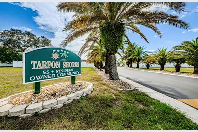 46 Drury Lane, Tarpon Springs, FL 34689 - Photo 41