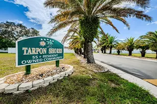 46 Drury Ln, Tarpon Springs, FL 34689 - Photo 41
