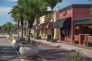 46 Drury Ln, Tarpon Springs, FL 34689 - Photo 71