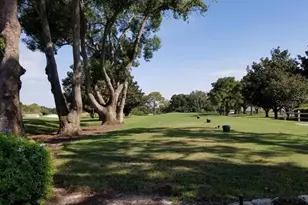 3109 Mission Grove Dr, Palm Harbor, FL 34684 - Photo 47