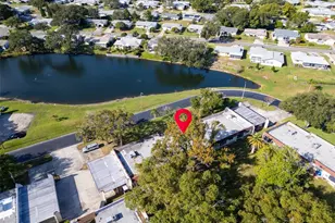 3109 Mission Grove Dr, Palm Harbor, FL 34684 - Photo 35