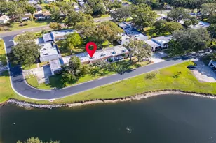 3109 Mission Grove Dr, Palm Harbor, FL 34684 - Photo 3
