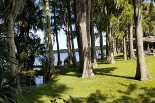 3109 Mission Grove Dr, Palm Harbor, FL 34684 - Photo 51