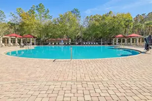 31234 Claridge Pl, Wesley Chapel, FL 33543 - Photo 37