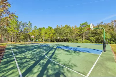 31234 Claridge Place, Wesley Chapel, FL 33543 - Photo 41
