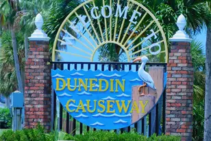 9 Haig Pl, Dunedin, FL 34698 - Photo 51