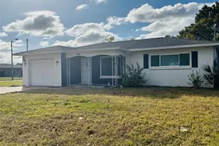 10517 Hibiscus Dr, Port Richey, FL 34668 - Photo 1