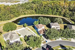 9928 Torrisdale Loop, Land O Lakes, FL 34638 - Photo 5