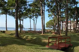 2700 Bayshore Blvd, Dunedin, FL 34698 - Photo 29