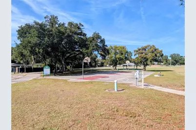 8412 Peterson Road, Odessa, FL 33556 - Photo 9