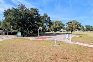 8412 Peterson Rd, Odessa, FL 33556 - Photo 9