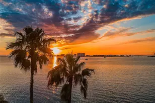 80 Rogers St, Clearwater, FL 33756 - Photo 57