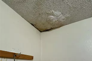 10203 57th Way N, Pinellas Park, FL 33782 - Photo 7