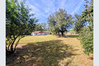 8410 Peterson Road, Odessa, FL 33556 - Photo 5
