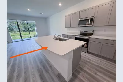 11367 Velvet Apricot Drive, Land O Lakes, FL 34638 - Photo 9