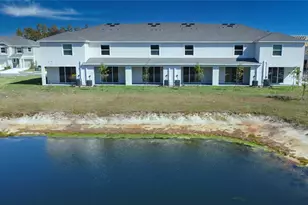 11367 Velvet Apricot Dr, Land O Lakes, FL 34638 - Photo 43