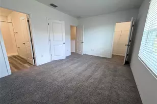 11367 Velvet Apricot Dr, Land O Lakes, FL 34638 - Photo 23