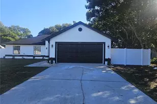 3180 Wiltshire Ave, Spring Hill, FL 34608 - Photo 1