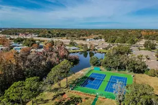 11539 Scotch Pine Dr, New Port Richey, FL 34654 - Photo 43