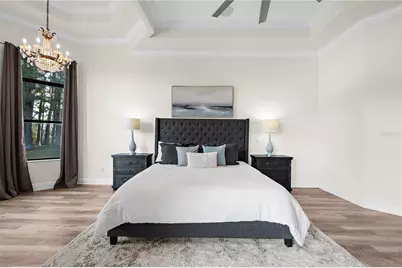 17336 Ballmont Park Drive, Odessa, FL 33556 - Photo 33