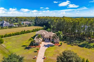 17336 Ballmont Park Dr, Odessa, FL 33556 - Photo 1