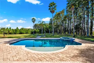 17336 Ballmont Park Dr, Odessa, FL 33556 - Photo 55