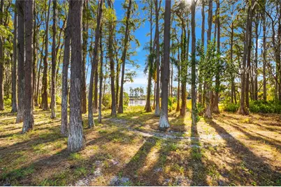 17336 Ballmont Park Drive, Odessa, FL 33556 - Photo 61