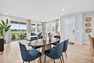 8807 Ginko Run, Parrish, FL 34219 - Photo 11