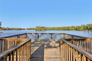 11624 Calf Path Dr, Tampa, FL 33626 - Photo 87