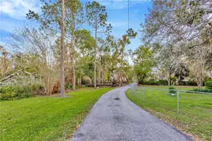 7201 Hodgewood Ct Ct, Tampa, FL 33614 - Photo 49