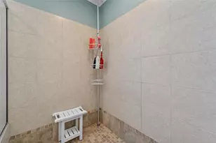 114 Aberdeen Pond Dr, Apollo Beach, FL 33572 - Photo 53