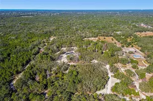 12015 Gladwin Ave, Hudson, FL 34667 - Photo 5