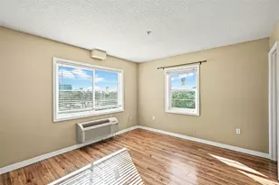 406 S Cedar Ave, Tampa, FL 33606 - Photo 43