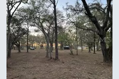 16222 Livingston Avenue, Lutz, FL 33559 - Photo 3