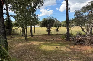 1509 Finland Dr, Spring Hill, FL 34609 - Photo 3