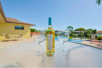 914 Chipaway Drive, Apollo Beach, FL 33572 - Photo 29