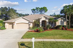3988 Mimosa Pl, Palm Harbor, FL 34685 - Photo 77